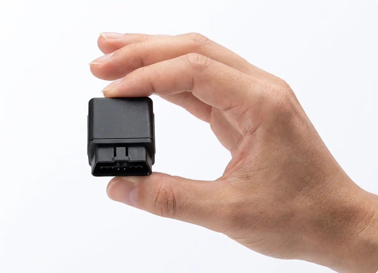 OBD In Hand Scale