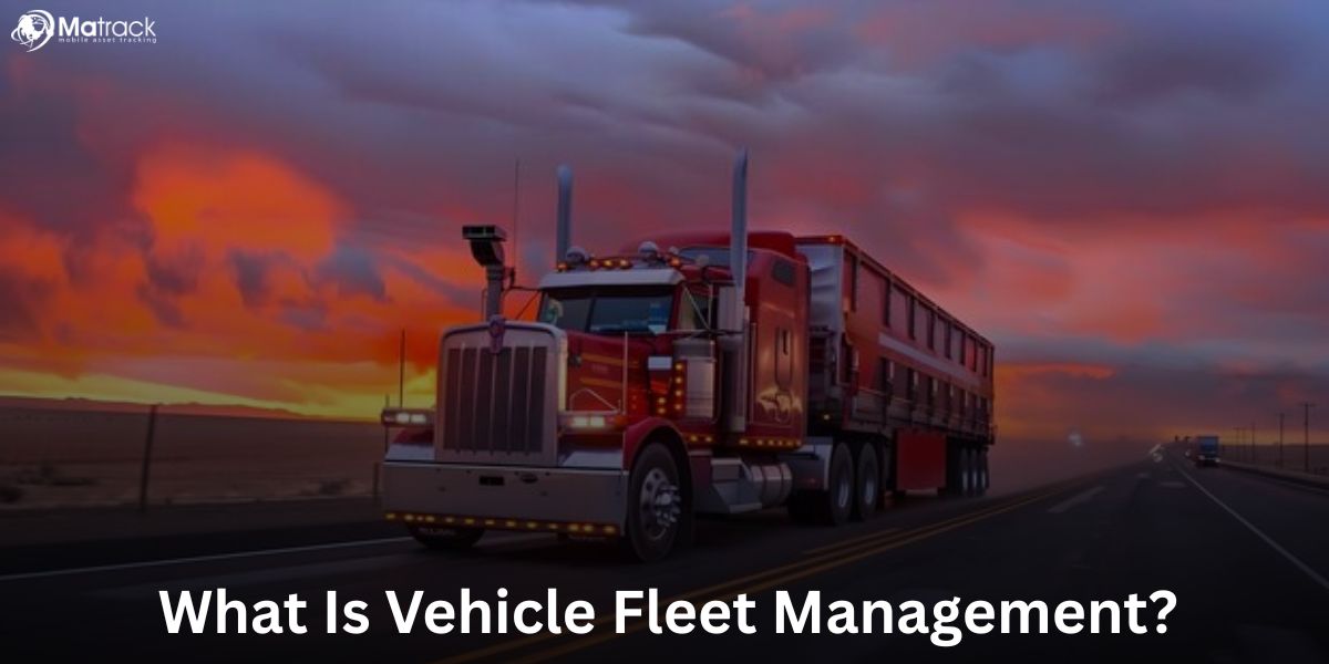 vehicle fleet management