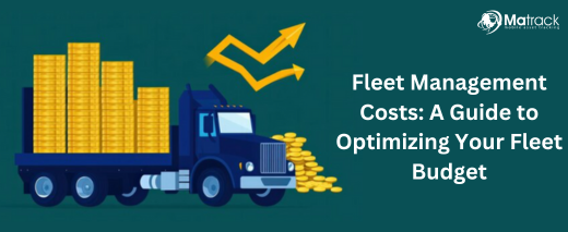 fleet management costs