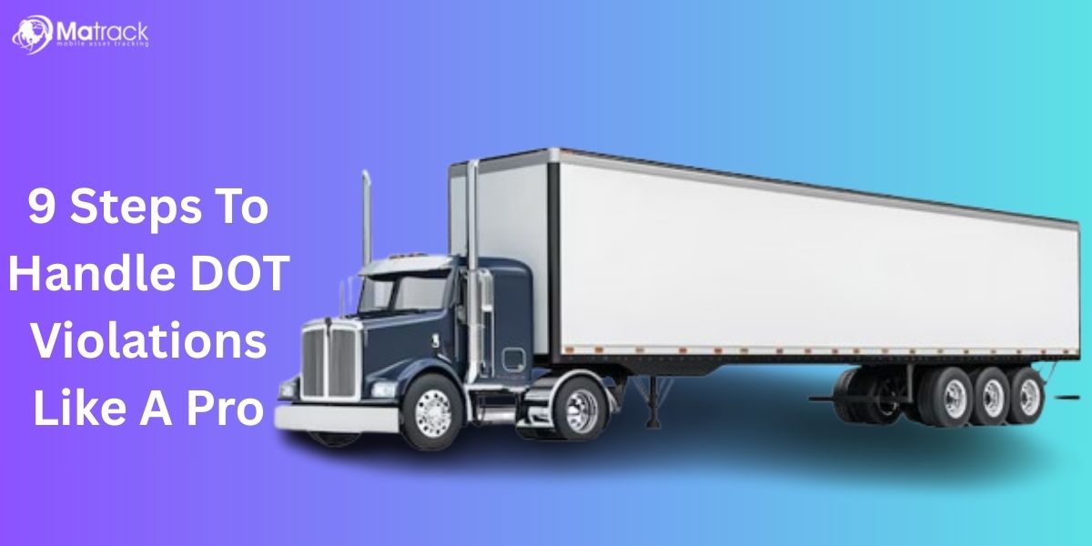 steps to handle dot violations