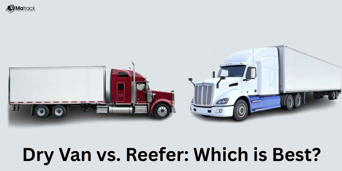 dry van vs reefer which is best