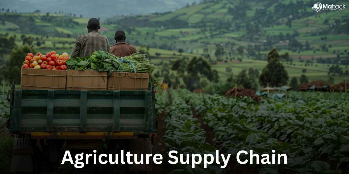 everything you need to know about agriculture supply chain