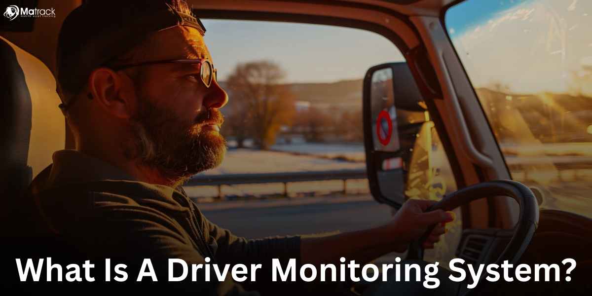 driver monitoring system