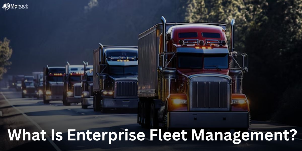 enterprise fleet management