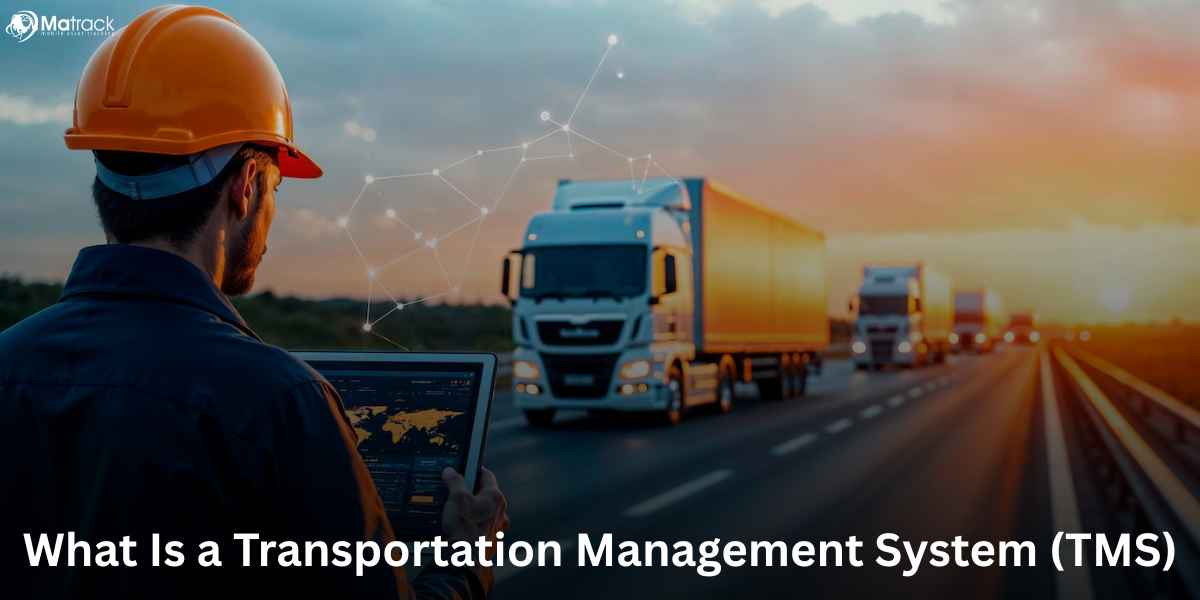 transportation management system
