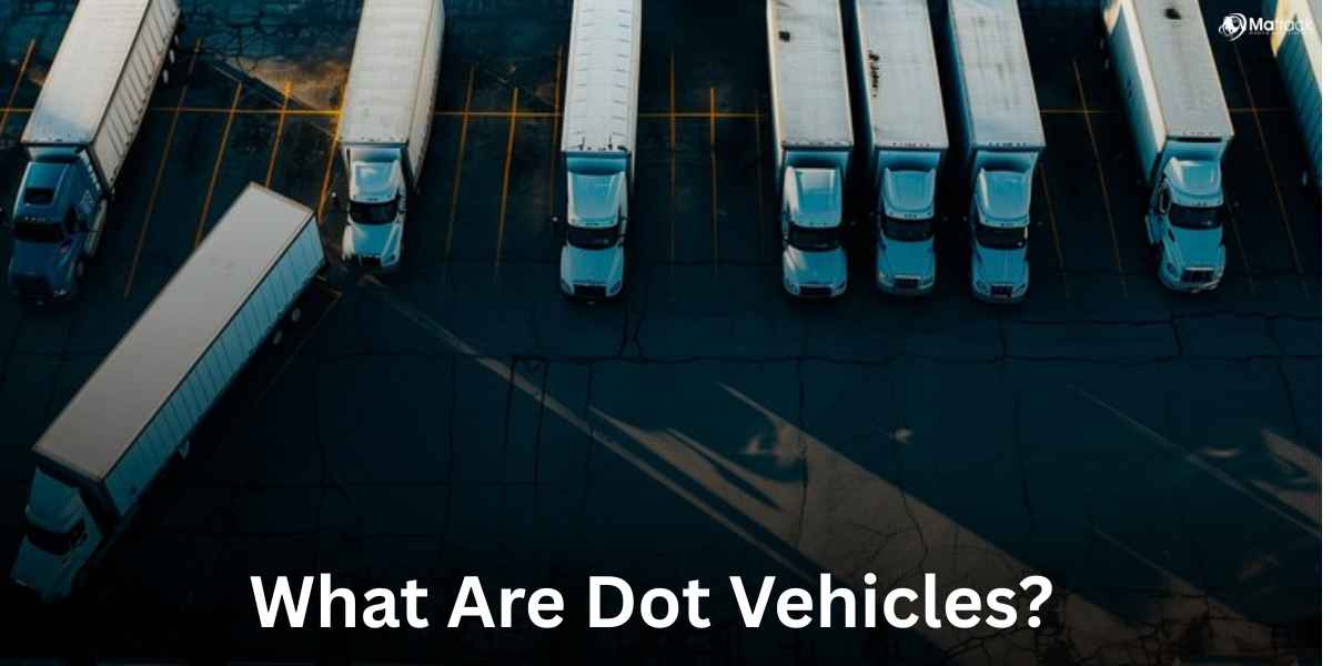 what are dot vehicles