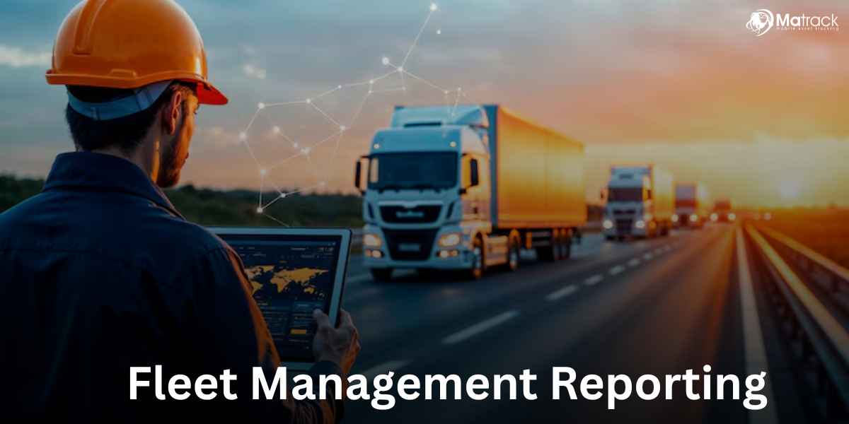 fleet management reporting