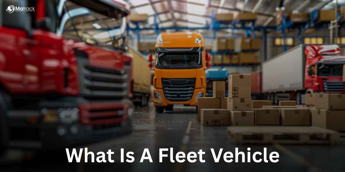 what is fleet vehicle
